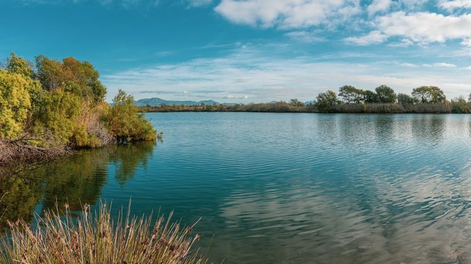 etangs-de-villepey-3-1600x712